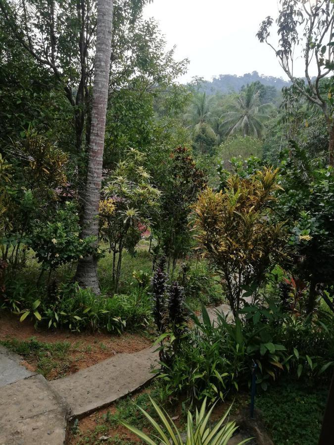 Durian Chalet 쿠알라타한 외부 사진