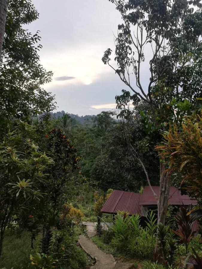 Durian Chalet 쿠알라타한 외부 사진