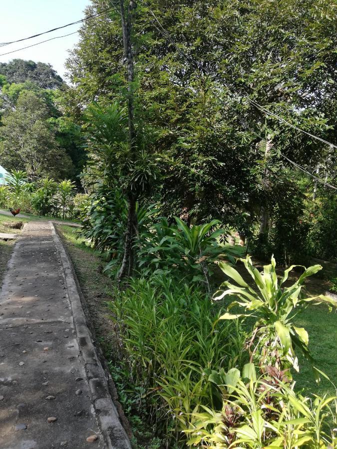 Durian Chalet 쿠알라타한 외부 사진