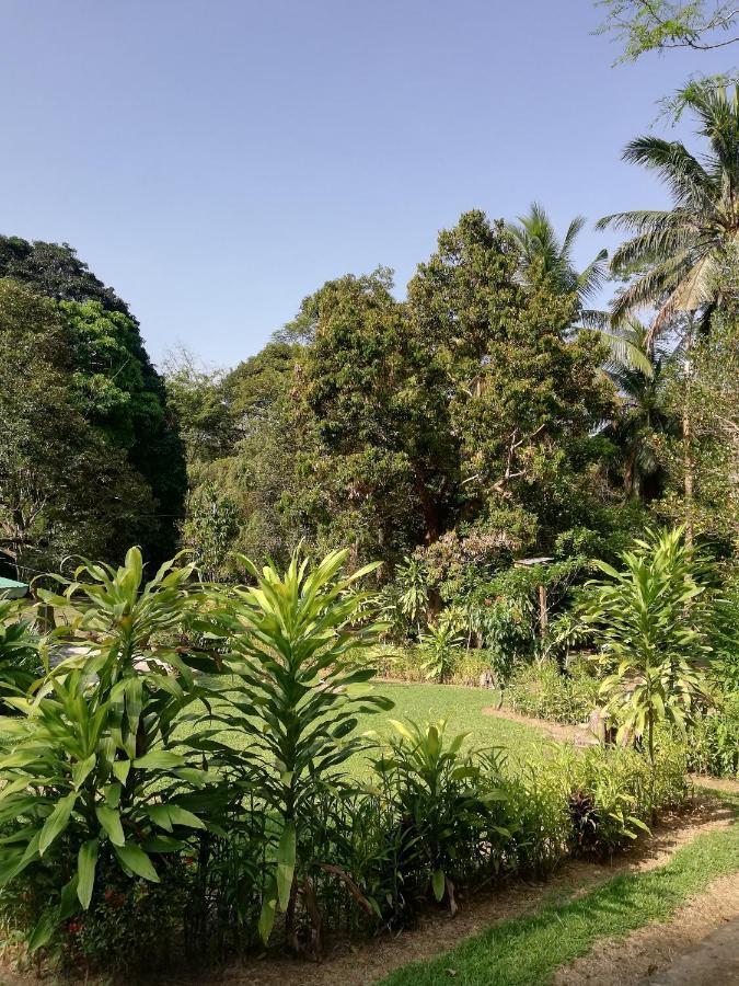 Durian Chalet 쿠알라타한 외부 사진