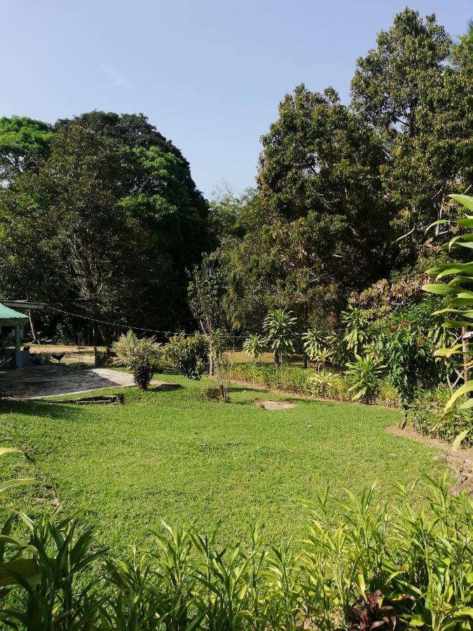 Durian Chalet 쿠알라타한 외부 사진
