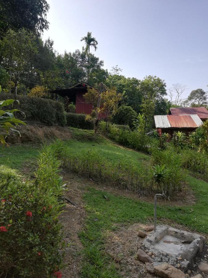 Durian Chalet 쿠알라타한 외부 사진