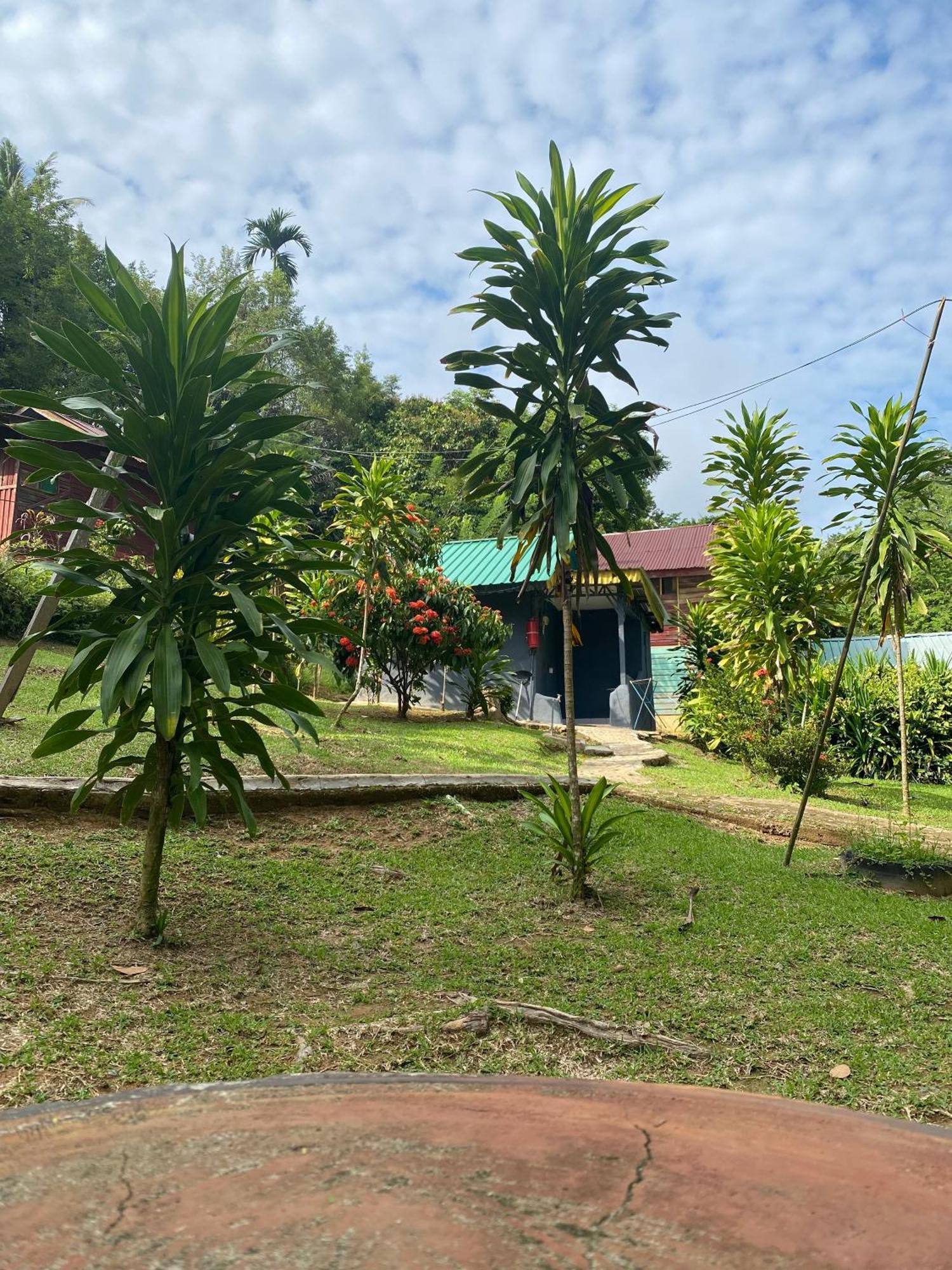 Durian Chalet 쿠알라타한 외부 사진